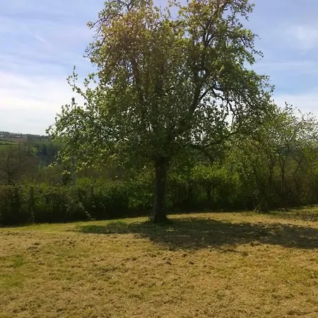 Tricolore Normandie * Menil-Vin