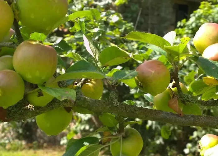 Tricolore Normandie Semesterbostad Menil-Vin