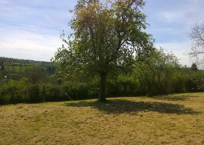 Tricolore Normandie * Menil-Vin